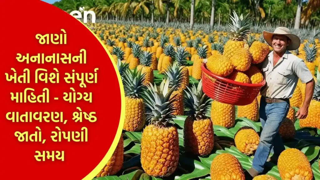 Pineapple Farming