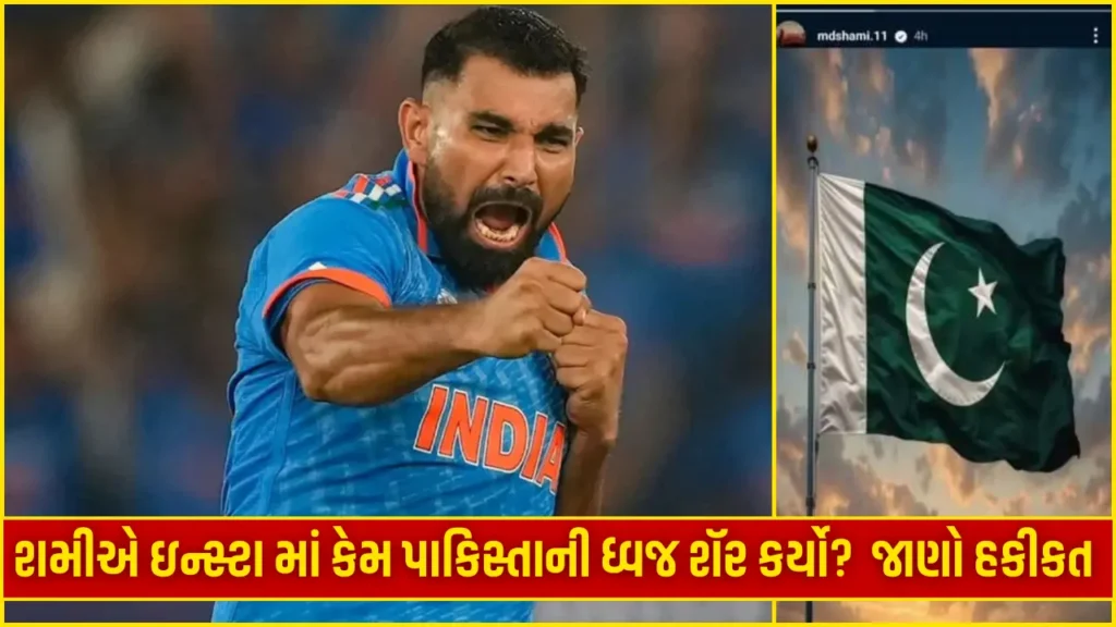 Did Mohammed Shami share the Pakistani flag on Instagram Know the exact Reality Check of the viral claim