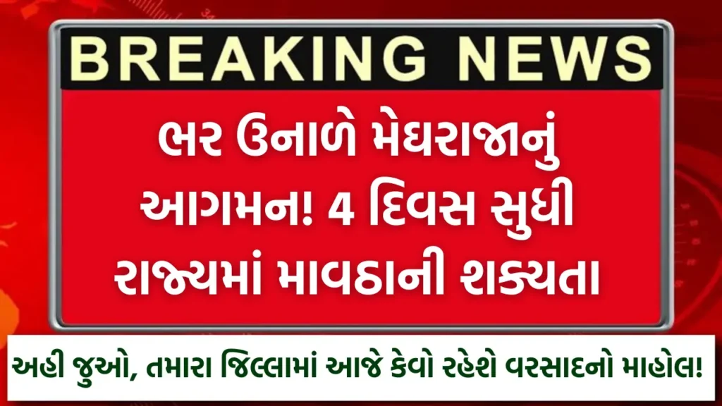 ભર ઉનાળે મેઘરાજાનું આગમન! 4 દિવસ સુધી રાજ્યમાં માવઠાની શક્યતા